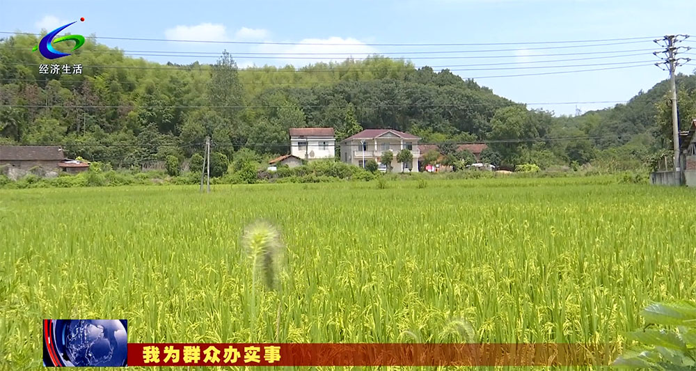 微信图片_20230815155210 副本.JPG